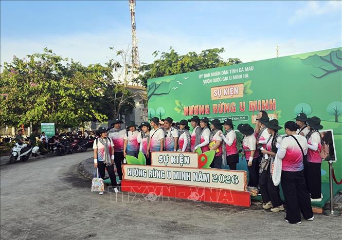 Quy hoạch Khu du lịch sinh thái Vườn quốc gia U Minh Hạ (Cà Mau) thành điểm đến nghỉ dưỡng hấp dẫn. Ảnh: Trung Hiếu - TTXVN
