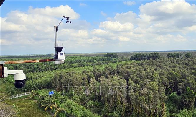 Quy hoạch Khu du lịch sinh thái Vườn quốc gia U Minh Hạ (Cà Mau) thành điểm đến nghỉ dưỡng hấp dẫn. Ảnh: Trung Hiếu - TTXVN
