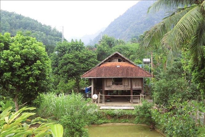 Nhà sàn là công trình mang kiến trúc độc đáo, được đúc kết từ kinh nghiệm thực tế, tập quán, tín ngưỡng nhiều đời của dân tộc Thái; thích nghi với điều kiện thiên nhiên và môi trường miền núi, hài hòa cùng cảnh quan núi rừng, tạo nên vẻ đẹp giản dị, gần gũi. Ảnh: Xuân Tiến - TTXVN 