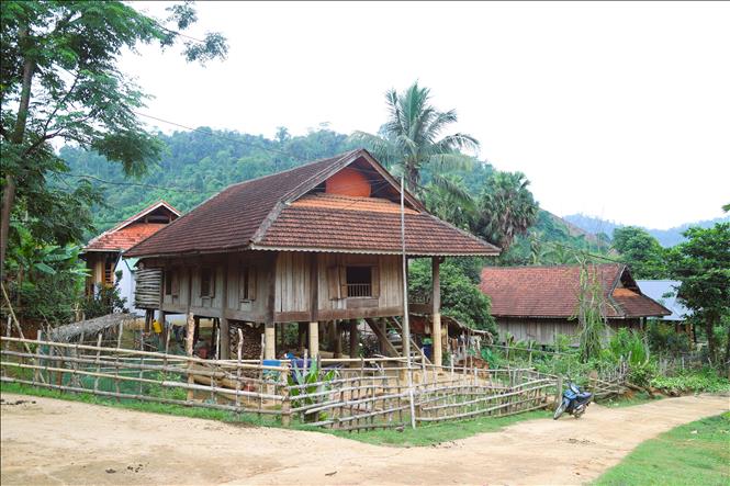 Nhờ hệ thống cột đỡ và khung nhà mà nhà sàn có thể dựng lên chắc chắn ở khu vực dốc, không cần mặt bằng bằng phẳng. Ảnh: Xuân Tiến - TTXVN 
