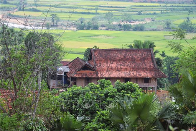 Nhà sàn là công trình tổng hợp giữa kiến trúc xây dựng, nghệ thuật trang trí, thiết kế hài hòa với thiên nhiên, thích ứng với khí hậu miền núi và mang dấu ấn văn hóa đặc trưng. Ảnh: Xuân Tiến - TTXVN 
