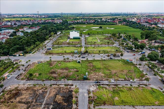 Nhiều diện tích đất tại khu tái định cư xã Thư Lâm (Hà Nội) chưa được đưa vào sử dụng, cỏ dại mọc um tùm sau thời gian dài chưa có người dân đến ở. Ảnh: Trung Nguyên - TTXVN