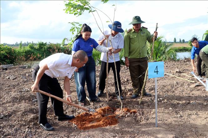Đại biểu và các lực lượng đoàn viên thanh niên phối hợp trồng cây xanh ngay sau lễ phát động. Ảnh: Trung Kiên - TTXVN