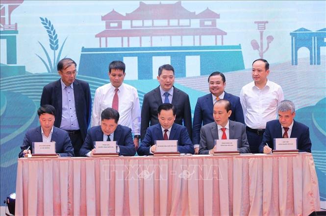 Thứ trưởng Bộ Tài Chính Cao Anh Tuấn và Chủ tịch Hội đồng thành viên Tập đoàn Hoá chất Việt Nam Phùng Quang Hiệp chứng kiến lễ ký kết hợp tác phát triển nền tảng Vinachem Nông nghiệp. Ảnh: Hoàng Hiếu - TTXVN