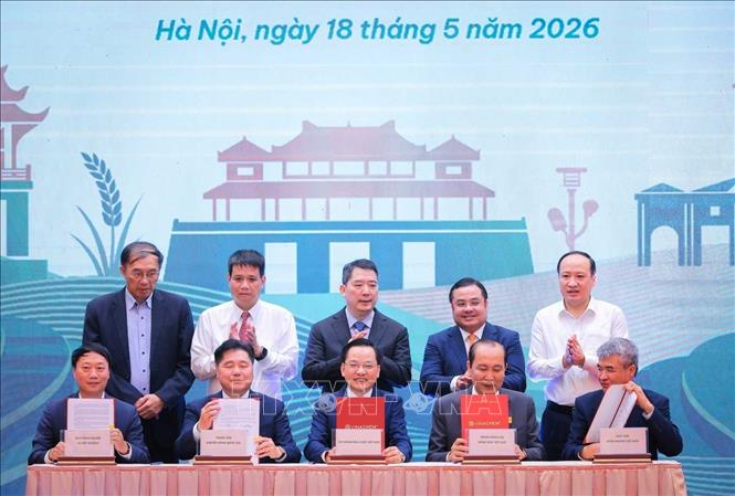 Thứ trưởng Bộ Tài Chính Cao Anh Tuấn và Chủ tịch Hội đồng thành viên Tập đoàn Hoá chất Việt Nam Phùng Quang Hiệp chứng kiến lễ ký kết hợp tác phát triển nền tảng Vinachem Nông nghiệp. Ảnh: Hoàng Hiếu - TTXVN