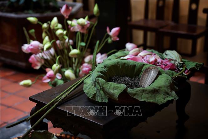 To make lotus tea, the freshest lotus flowers that are picked to mix with the best green tea, creating a delicate flavour of Hanoi summer. VNA Photo: Phạm Tuấn Anh