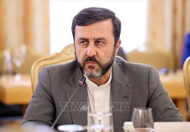 Thứ trưởng Ngoại giao Iran Kazem Gharibabadi. Ảnh: IRNA/TTXVN