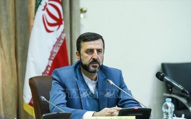 Thứ trưởng Ngoại giao Iran Kazem Gharibabadi. Ảnh: IRNA/TTXVN