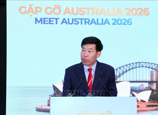 Deputy Minister of Foreign Affairs Nguyen Manh Cuong speaks at the event. VNA Photo: Xuân Khu