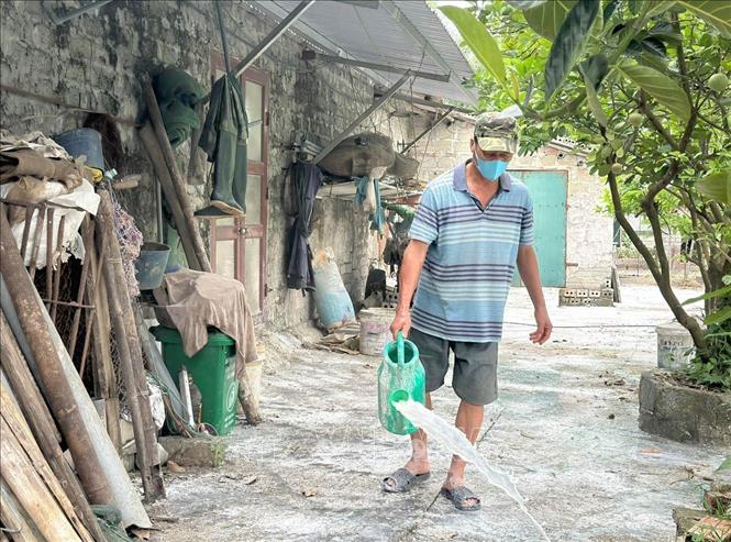 Các hộ chăn nuôi tại xã Đồng Thái, tỉnh Ninh Bình thường xuyên vệ sinh chuồng trại, phun thuốc khử trùng 2 lần/tuần để chủ động phòng dịch. Ảnh: Thùy Dung - TTXVN