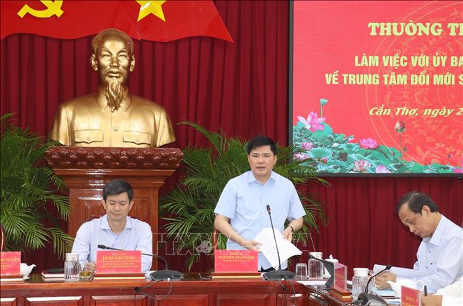 Ông Nguyễn Tuấn Anh, Phó Bí thư Thành ủy Cần Thơ, phát biểu. Ảnh: Ngọc Thiện-TTXVN