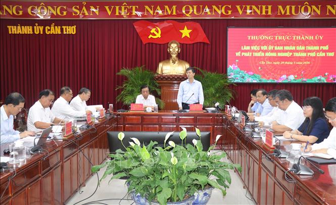 Quang cảnh buổi làm việc. Ảnh: Ngọc Thiện-TTXVN