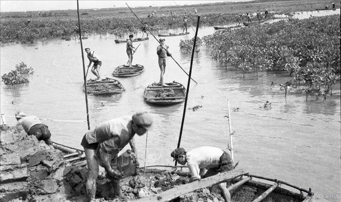 Các đội thủy lợi của huyện Kiến Thụy (Hải Phòng) đắp đê biển Đồ Sơn (3/1964). Ảnh: Đức Liên – TTXVN