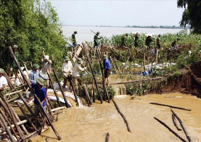 Lực lượng quân đội và nhân dân gia cố khắc phục lại đoạn đê bao bị vỡ tại thị trấn Sông Thao, huyện Cẩm Khê (Phú Thọ, 8/2008). Ảnh: Huy Hùng – TTXVN