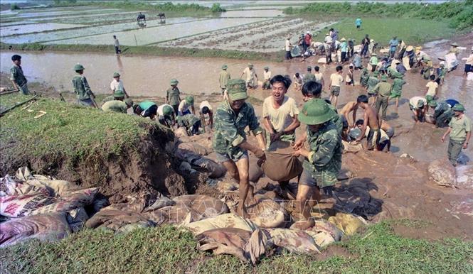 Bộ đội quân khu 3 cùng nhân dân xã Hải Xuân (Thị xã Móng Cái, Quảng Ninh) xử lý đoạn đê bị sạt lở do cơn bão số 2 (7/20021). Ảnh: Ngọc Hà– TTXVN