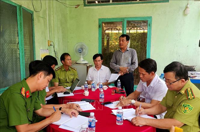 Lực lượng chức năng nắm tình hình công tác quản lý, bảo vệ và tình trạng sinh sống của các loài chim tại Vườn chim Hai Chìa (xã Trà Côn, tỉnh Vĩnh Long). Ảnh: Lê Thúy Hằng - TTXVN. 