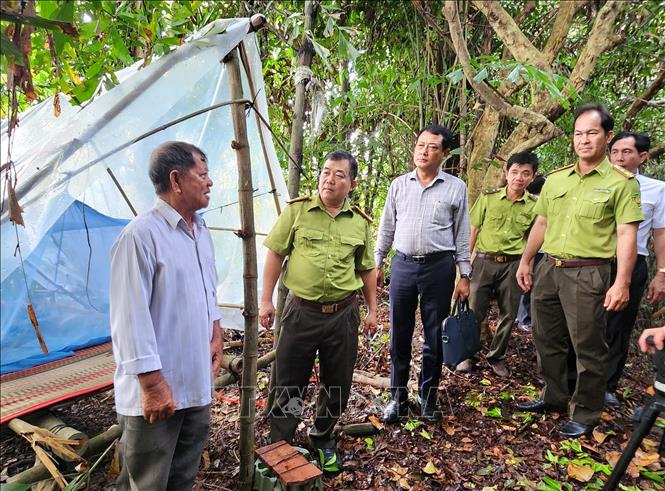 Lực lượng chức năng đến khảo sát tại Vườn chim Hai Chìa (xã Trà Côn, tỉnh Vĩnh Long). Ảnh: Lê Thúy Hằng - TTXVN 