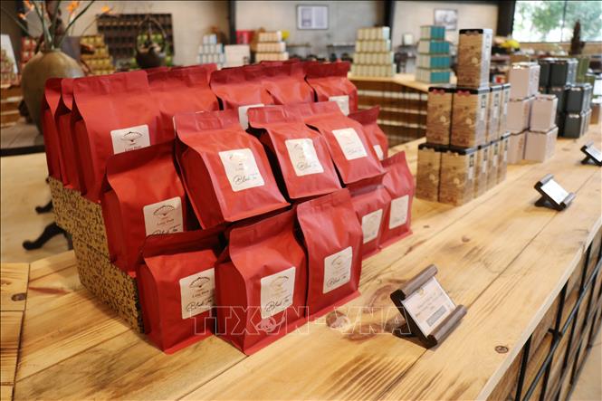 Oolong tea products are displayed at the Long Dinh Tea Museum, Xuan Truong ward, Da Lat, Lam Dong province. VNA Photo: Nguyễn Thành