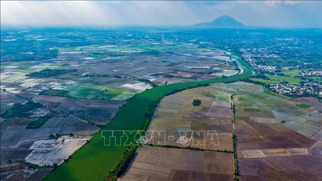 Sông Vàm Cỏ Đông bị lục bình phủ kín mặt nước, gây cản trở giao thông thủy và ảnh hưởng việc đi lại, sản xuất của người dân ven sông. Ảnh: Minh Phú - TTXVN 