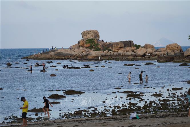 Hòn Chồng Nha Trang có cảnh đẹp thu hút du khách. Ảnh: Đặng Tuấn - TTXVN