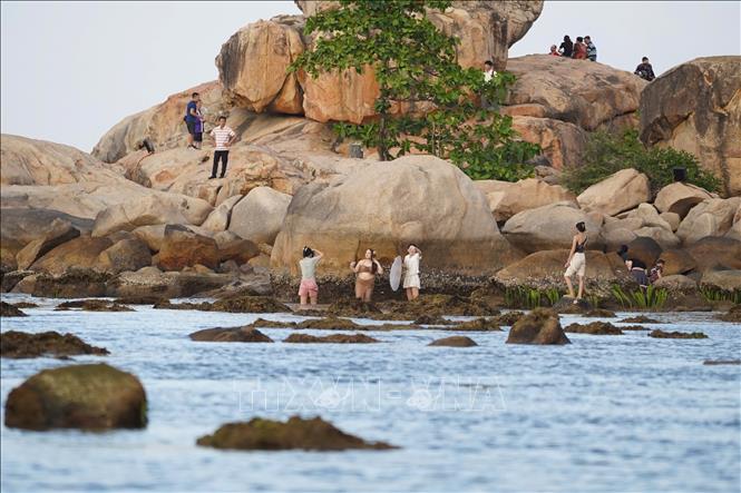San hô Hòn Chồng - Nha Trang cần được bảo vệ. Ảnh: Đặng Tuấn - TTXVN