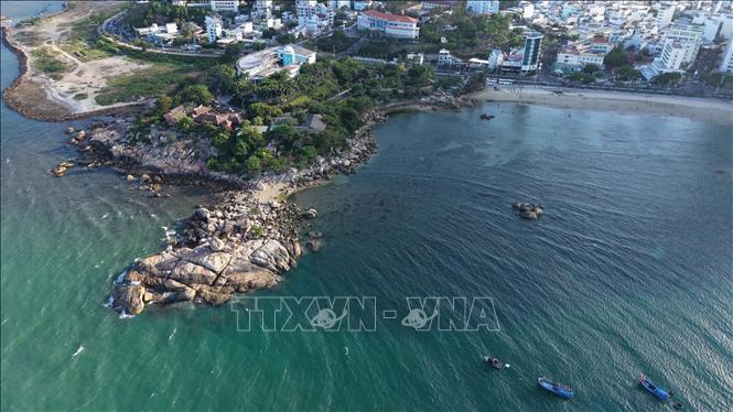 San hô Hòn Chồng - Nha Trang tại phường Bắc Nha Trang. Ảnh: Đặng Tuấn - TTXVN