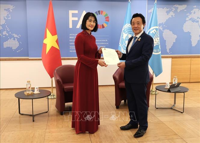 FAO regards Vietnam as a key partner in region - VNA Photos - Vietnam ...