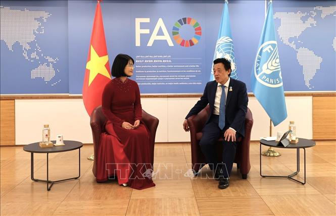 FAO regards Vietnam as a key partner in region - VNA Photos - Vietnam ...