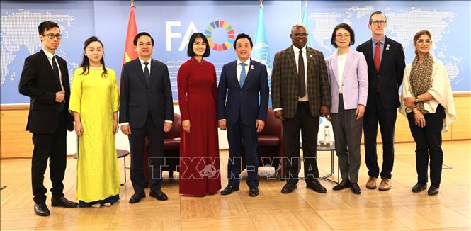 FAO regards Vietnam as a key partner in region - VNA Photos - Vietnam ...