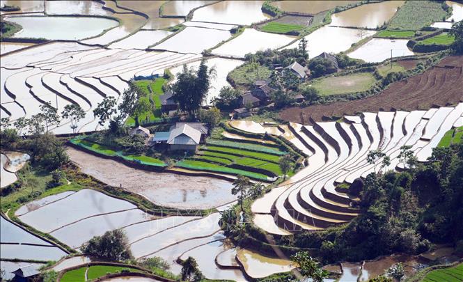 Nước từ trên các khe núi đổ xuống những thửa ruộng bậc thang nhìn lấp lánh như ánh bạc dưới ánh nắng chiều. Ảnh: Quý Trung – TTXVN