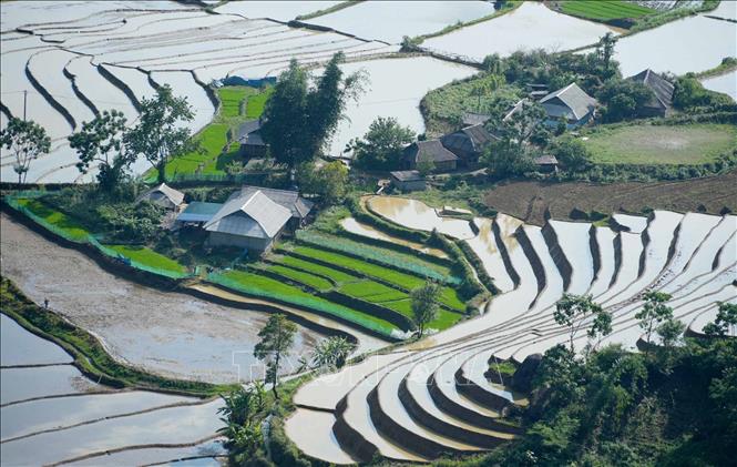 Những ngôi nhà của đồng bào các dân tộc đan xen giữa các thửa ruộng bậc thang tạo ra bức tranh quê thanh bình giữa đại ngàn. Ảnh: Quý Trung – TTXVN