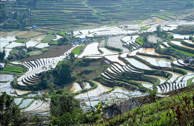 Những thửa ruộng bậc thang uốn lượn ôm quanh các sườn núi tạo ra bức tranh thủy mặc giữa đại ngàn. Ảnh: Quý Trung – TTXVN