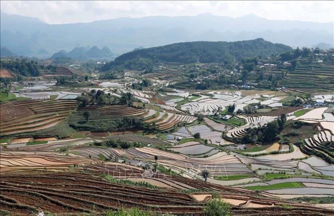 Mùa nước đổ là một trong những mùa đẹp nhất trong năm tại Lai Châu. Ảnh: Quý Trung – TTXVN