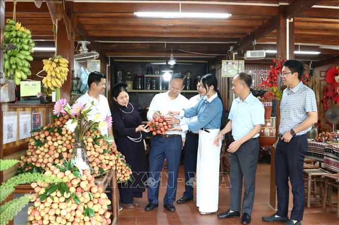 Phó Chủ tịch UBND tỉnh Bắc Ninh Phạm Văn Thịnh (đứng giữa, cầm túm vải) và các đại biểu tham dự phiên livestream. Ảnh: Việt Hùng – TTXVN

