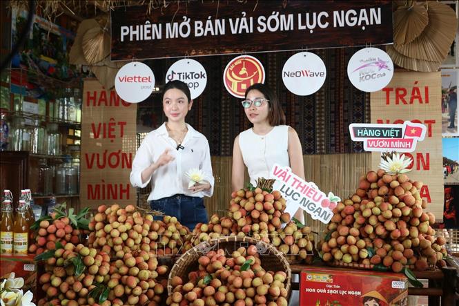 Các đại biểu tham dự phiên livestream. Ảnh: Việt Hùng – TTXVN
