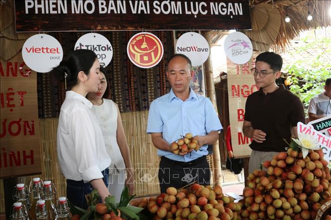 Các đại biểu tham dự phiên livestream. Ảnh: Việt Hùng – TTXVN

