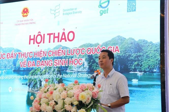 Cục trưởng Cục Bảo tồn thiên nhiên và Đa dạng sinh học, Bộ Nông nghiệp và Môi trường Bùi Chính Nghĩa phát biểu khai mạc hội thảo. Ảnh: Mạnh Minh - TTXVN