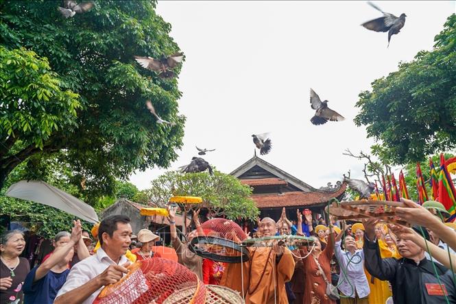 Người dân thực hiện nghi thức phóng sinh tại lễ hội. Ảnh: Khánh Hoà - TTXVN
