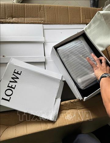 Sản phẩm vi phạm giả mạo nhãn hiệu, xâm phạm quyền sở hữu trí tuệ, do lực lượng Hải quan thuộc Chi cục Hải quan khu vực IX phát hiện. Ảnh: TTXVN phát
