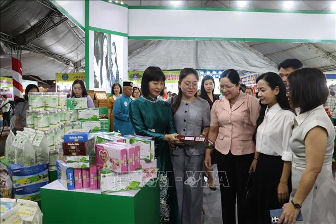 Khách tham quan các gian hàng trưng bày tại ngày hội. Ảnh: Lê Huy Hải - TTXVN 