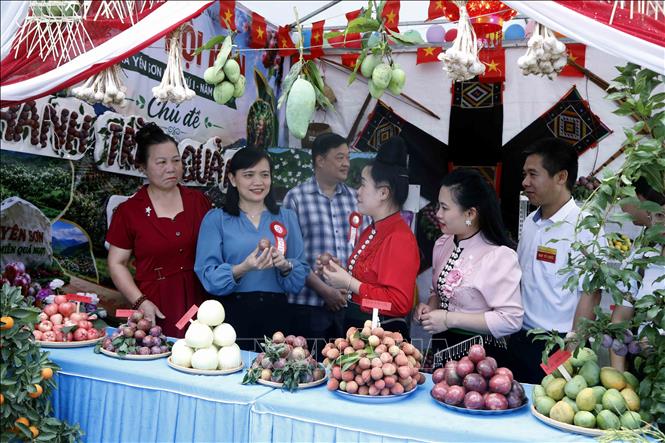 Đại biểu tham quan các gian trưng bày, giới thiệu sản phẩm đặc trưng của các bản, đơn vị trên địa bàn xã Yên Sơn. Ảnh: Quang Quyết - TTXVN