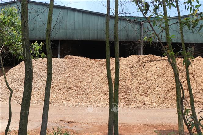 Nhày máy Wood Pellets dừng hoạt động khắc phục ô nhiễm khí CO. Ảnh: Phạm Cường-TTXVN