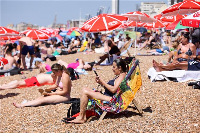 Người dân tránh nóng trên bãi biển ở Brighton, Anh. Ảnh: THX/TTXVN