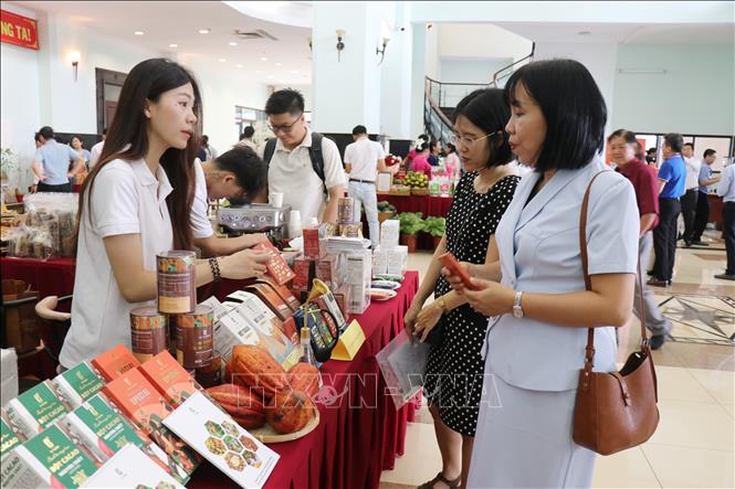 Các sản phẩm nông sản của tỉnh Lâm Đồng được các doanh nghiệp giới thiệu kết nối trong khuôn khổ Hội nghị. Ảnh: Nguyễn Huy Thành – TTXVN