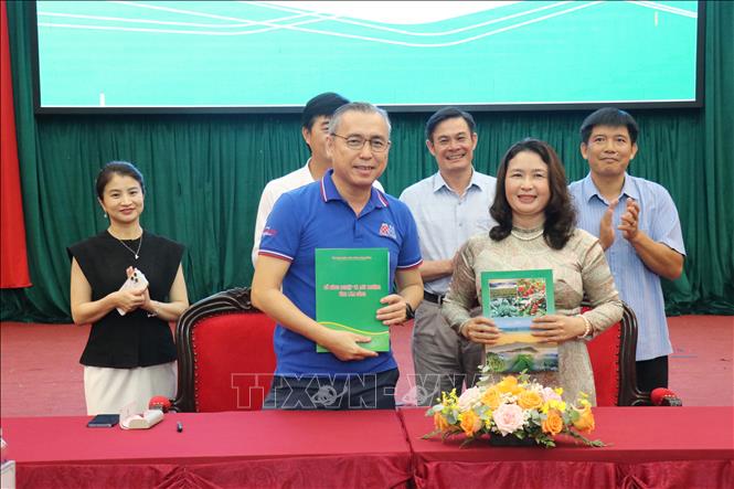 Hợp tác xã tỉnh Lâm Đồng ký kết hợp tác với doanh nghiệp nhằm mở rộng thị trường tiêu thụ nông sản địa phương. Ảnh: Nguyễn Huy Thành – TTXVN