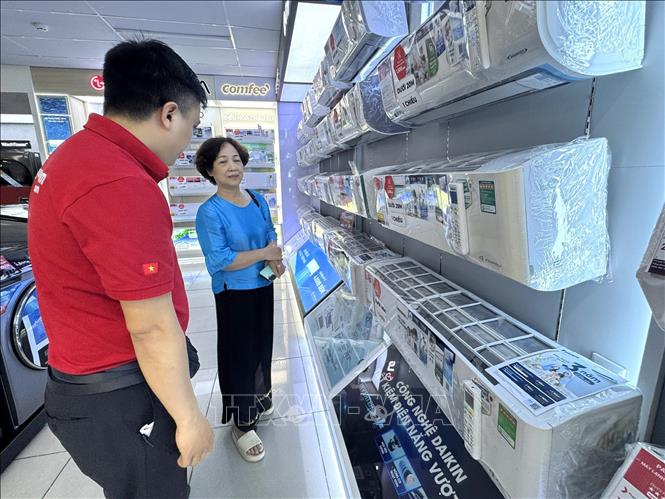 Người tiêu dùng lựa chọn sản phẩm làm mát. Ảnh: Quốc Lũy - TTXVN