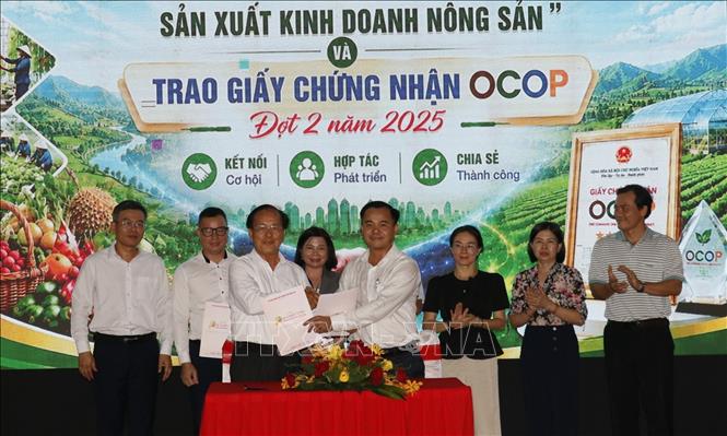 Đại diện các doanh nghiệp, hợp tác xã tham gia ký kết giao thương. Ảnh: Nhật Bình – TTXVN