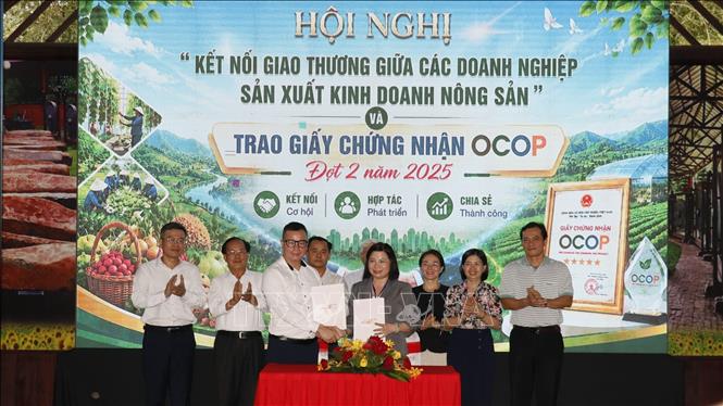 Đại diện các đơn vị ký kết hợp tác. Ảnh: Nhật Bình – TTXVN
