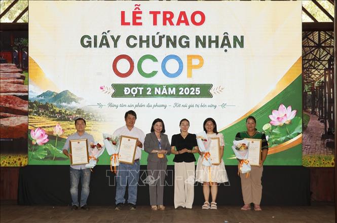 Phó Giám đốc Sở Nông nghiệp và Môi trường thành phố Đồng Nai Lê Thị Ánh Tuyết trao chứng nhận sản phẩm OCOP cho các chủ thể. Ảnh: Nhật Bình – TTXVN