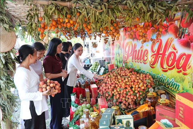 Đại biểu tham quan các gian hàng sản phẩm OCOP xã Phúc Hoà. Ảnh: Danh Lam - TTXVN 